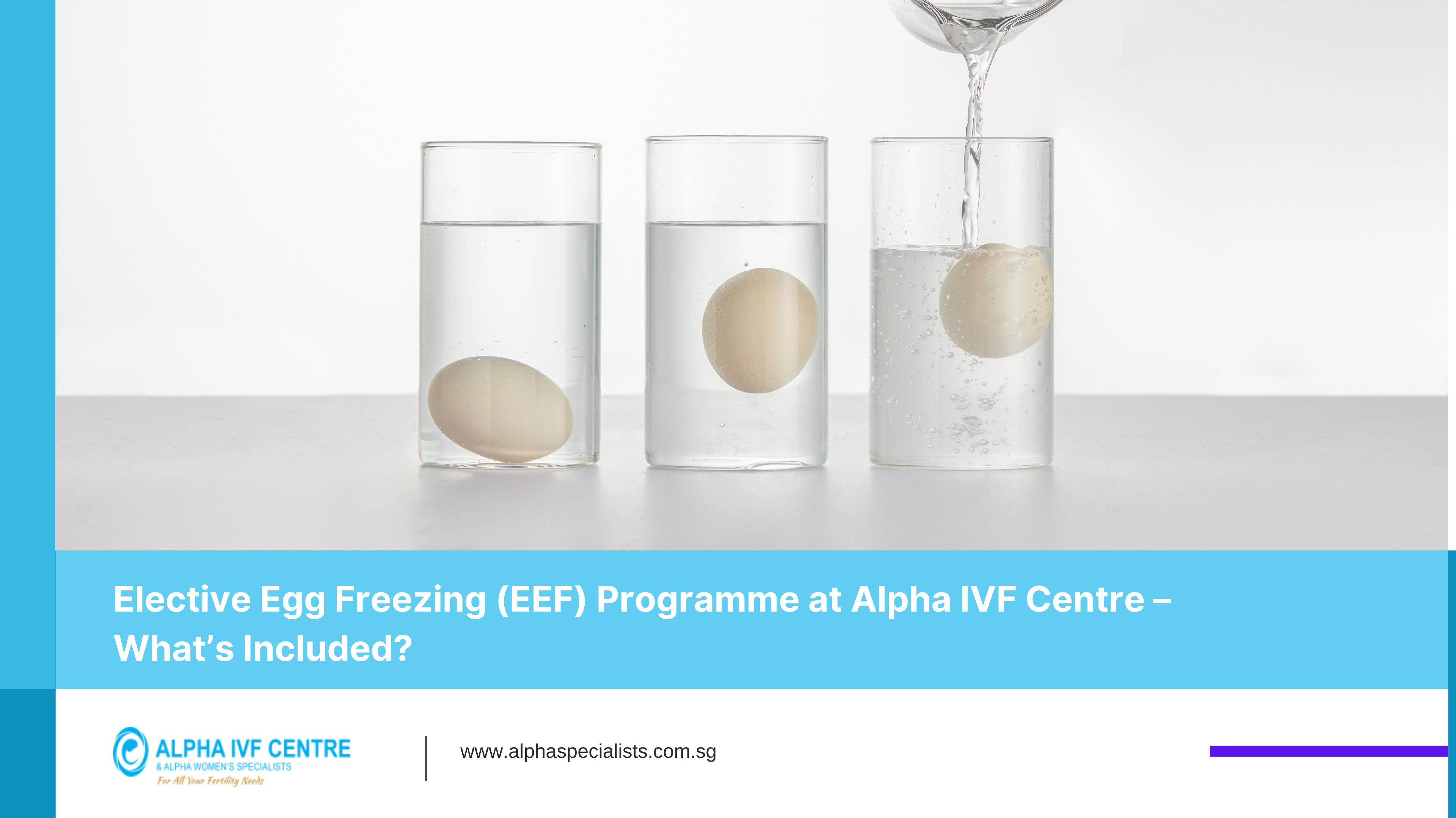 Elective egg freezing cost
