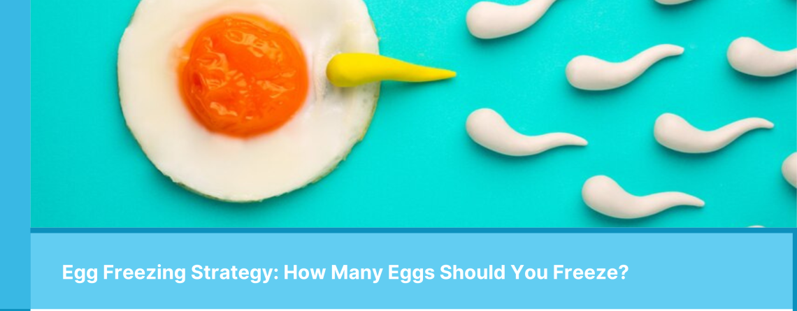 Egg Freezing Strategy How Many Eggs Should You Freeze-Alpha IVF SG